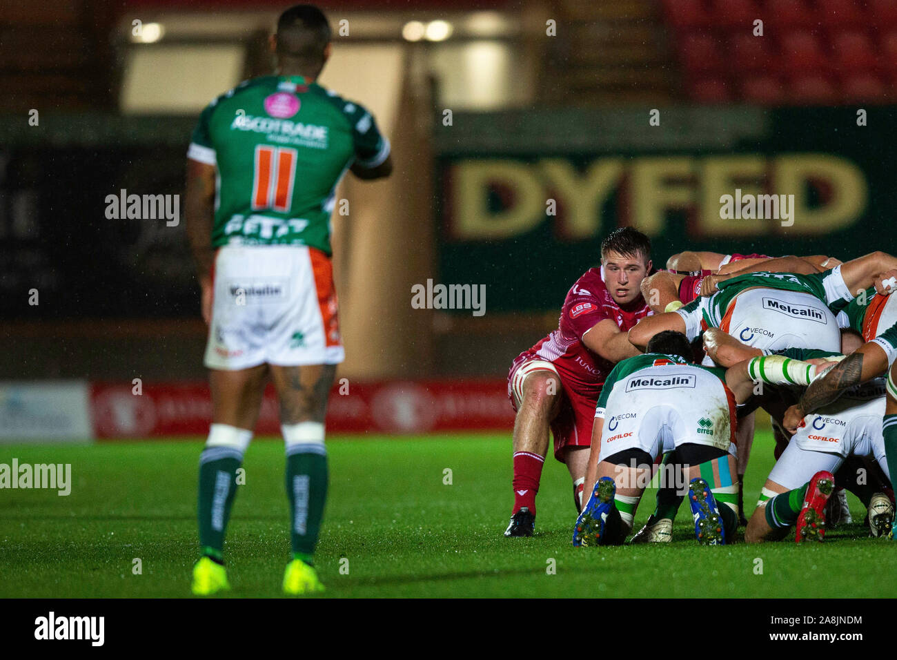 Llanelli, UK. 9. November 2019. Scarlets flanker Ed Kennedy Packs in den Scarlets v Benetton PRO 14 Rugby-spiel. Credit: gruffydd Ll. Thomas/Alamy leben Nachrichten Stockfoto