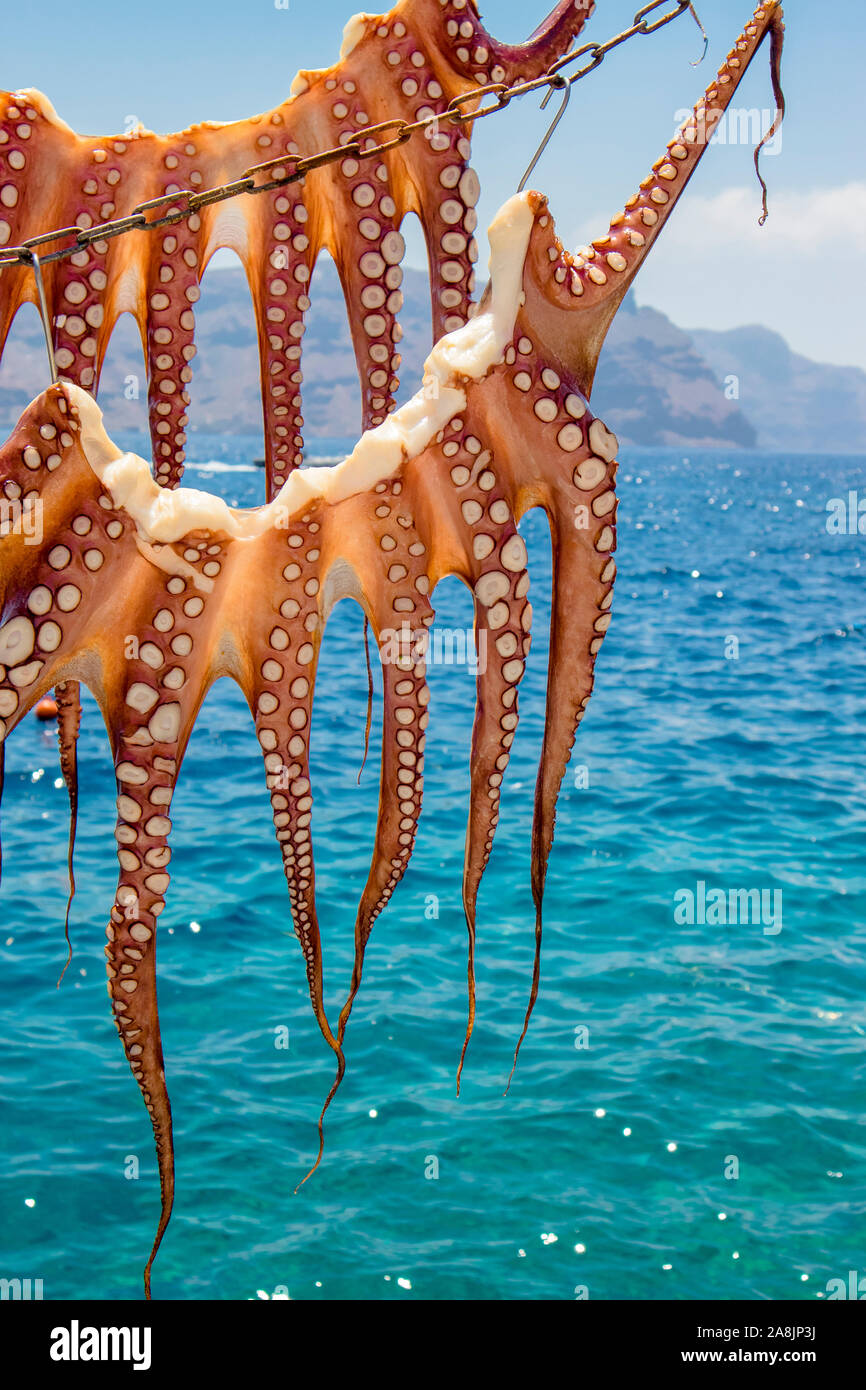 Sonne trocknete Kraken an Kette in Santorini, Griechenland Meerwasser auf dem Hintergrund draußen. Zubereitung traditioneller Tintenmahlzeiten. Stockfoto