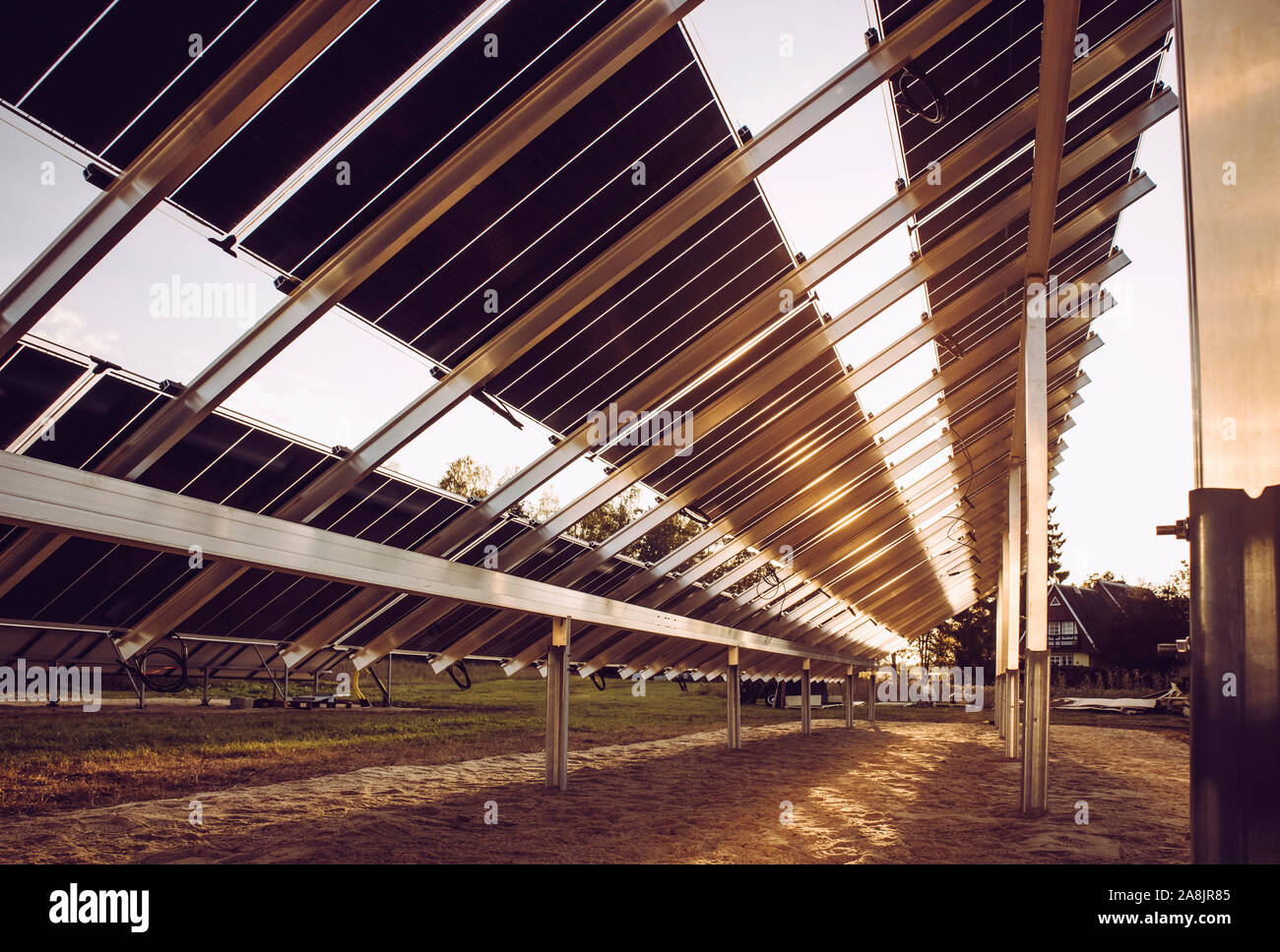 Von oben nach unten Rückseite Blick auf zwei-seitig Sonnenkollektoren auf Feld, den Bau neuer 2019 Solarstrom produzierenden Fabrik auf dem Feld in der Natur, Nordeuropa. B Stockfoto
