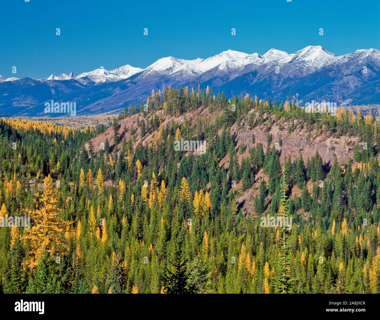 Ausläufern des Marshall Creek Wildlife Management Area und fernen Gipfeln der Swan Range im Herbst in der Nähe von Seeley Lake, Montana Stockfoto