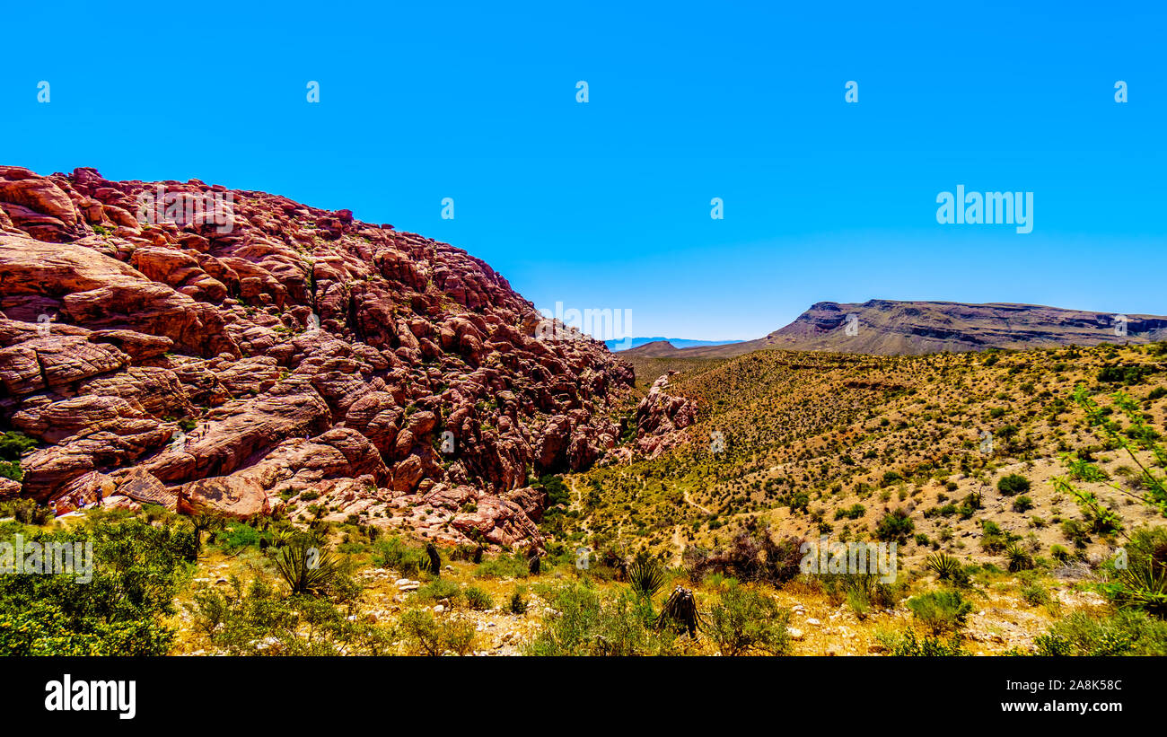 Die gefrorenen Lava - wie rote Felsen entlang der Kaliko Wanderweg in der Red Rock Canyon National Conservation Area in der Nähe von Las Vegas, Nevada, United States Stockfoto