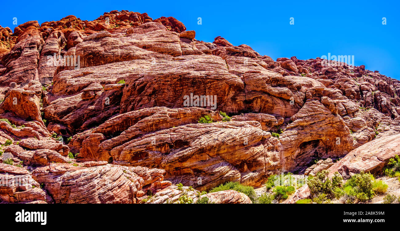 Die gefrorenen Lava - wie rote Felsen entlang der Kaliko Wanderweg in der Red Rock Canyon National Conservation Area in der Nähe von Las Vegas, Nevada, United States Stockfoto