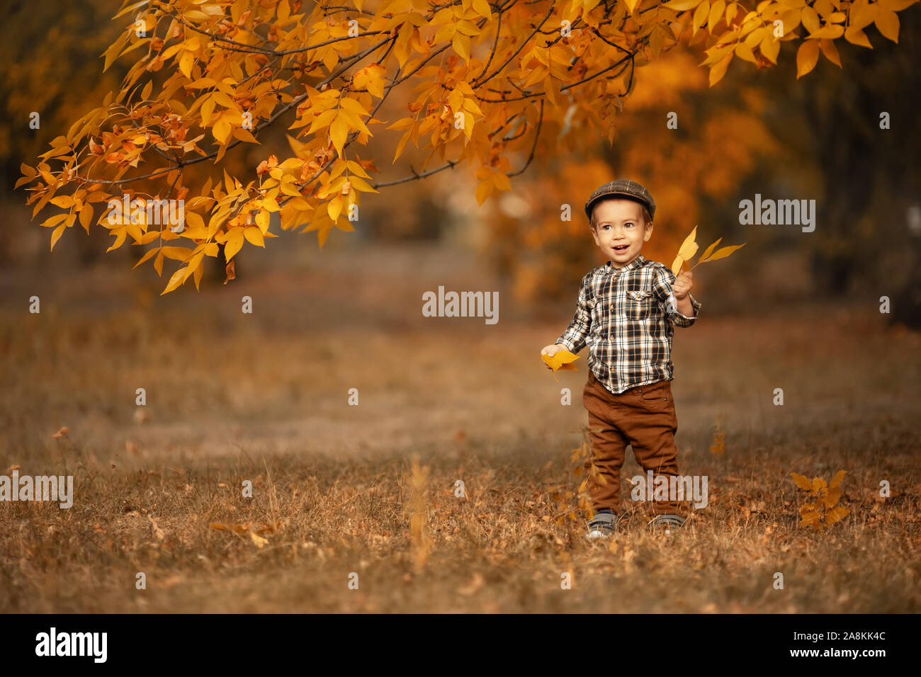 Herbst Portrait von glücklichen kleinen Jungen in karierte Kappe spielt mit gelb Blatt im Freien Stockfoto