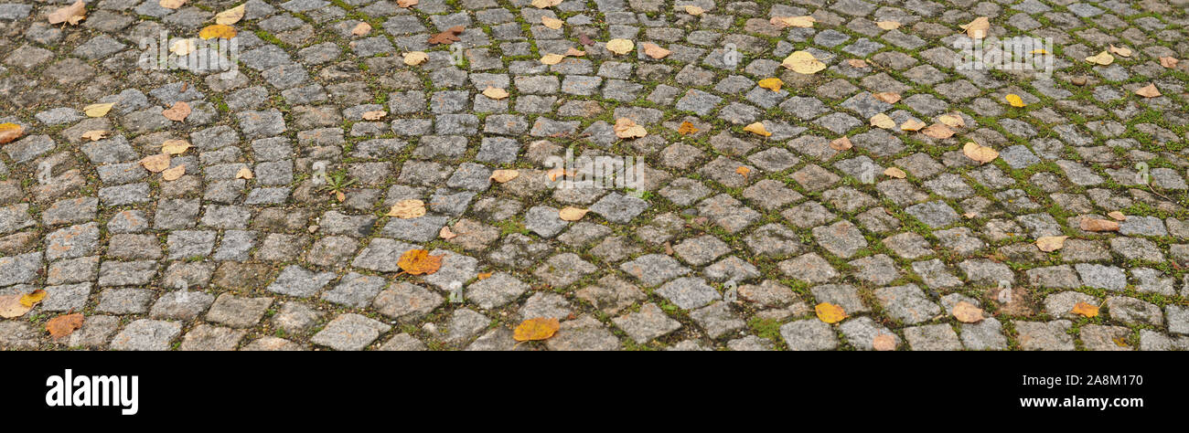 Laub auf Gehweg im Herbst, in kreisförmigen Muster mit sett Steine gelegt Stockfoto