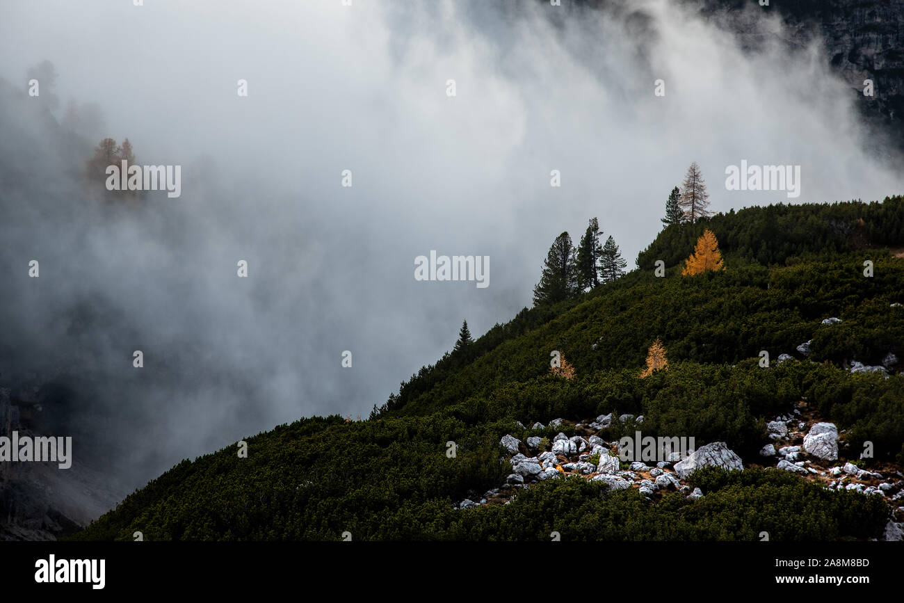 Berglandschaft mit Nebel, spät am Abend des malerischen Dolomiten im Tre Cime Wanderweg Bereich in Südtirol in Italien. Stockfoto