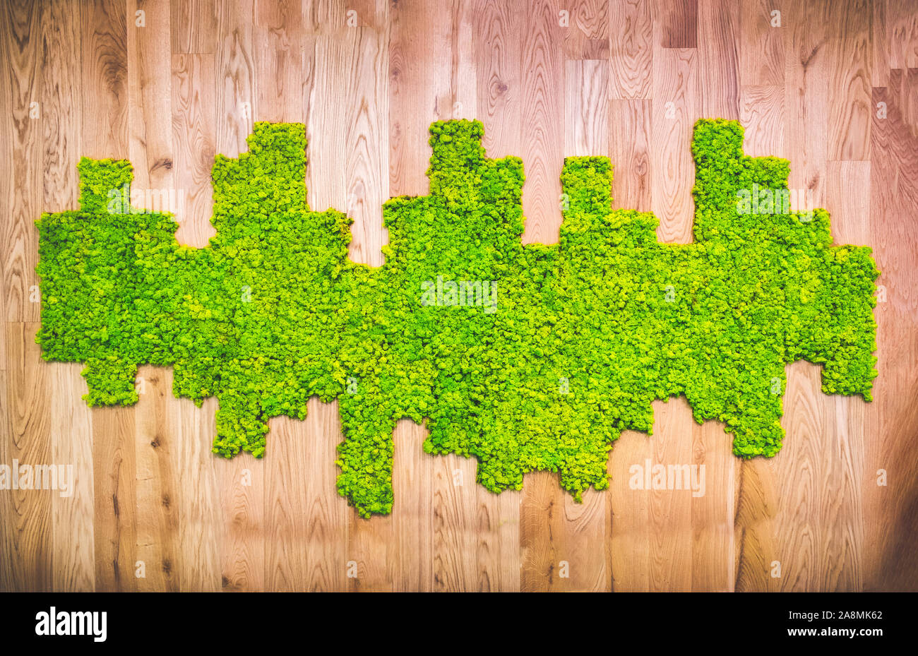 Moss Textur muster auf Holzplatte Stockfoto