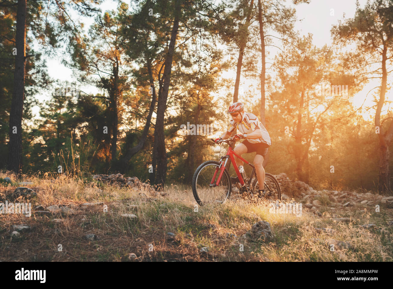 Silhouette einer Mountainbike Rider im Wald. Stockfoto