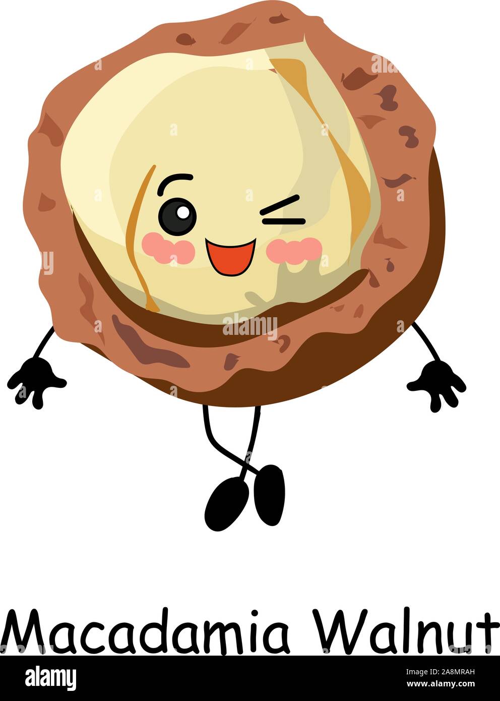 Cute Macadamianuss Cartoon. Vector Illustration auf weißem Hintergrund. Stock Vektor