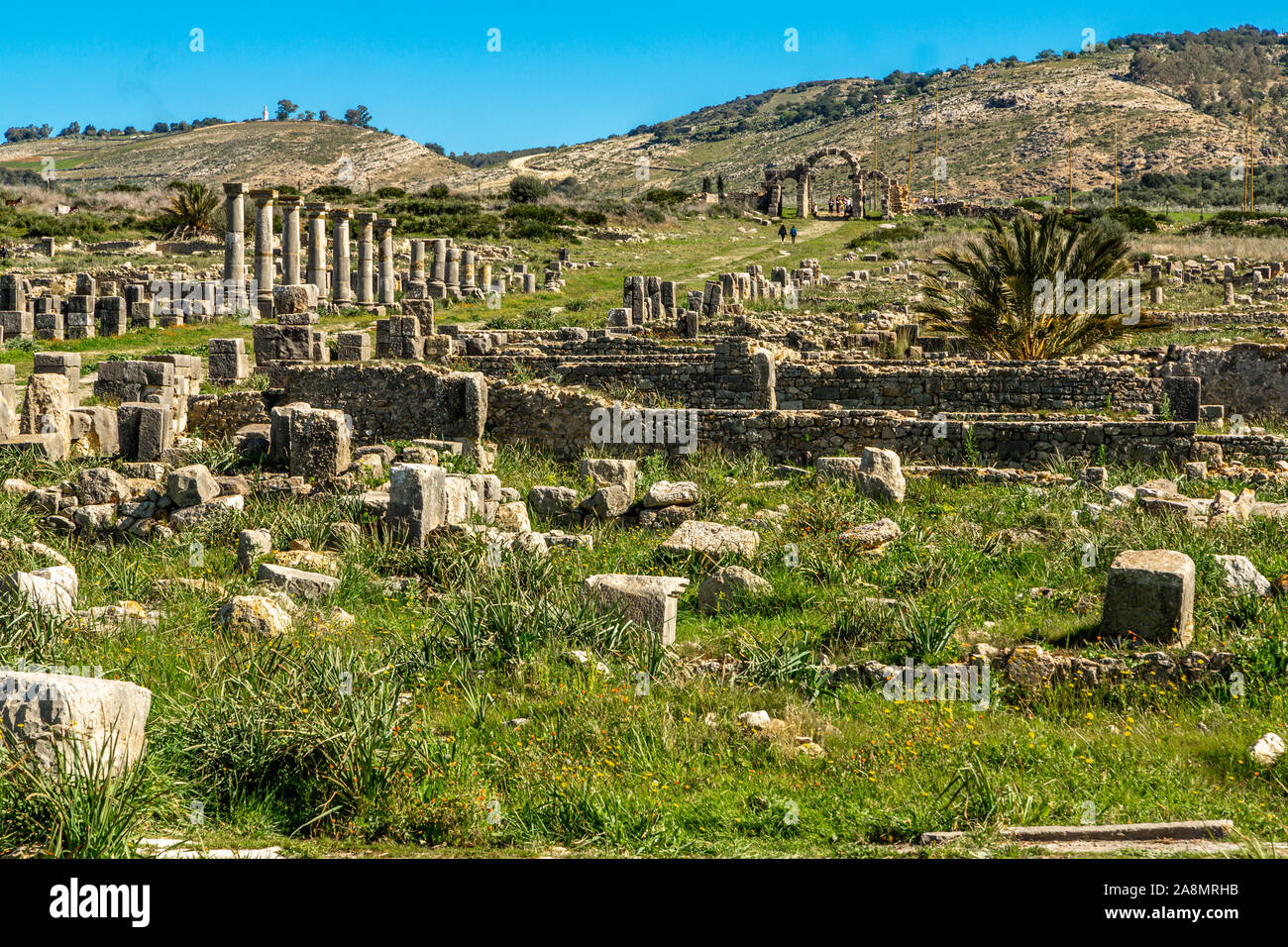 Volubilis, Marokko Unesco ist einer der am besten erhaltenen römischen Ruinen in der Nähe von Meknes. Volubilis wurde von den französischen Marokko 1912-1956 ausgegraben Stockfoto