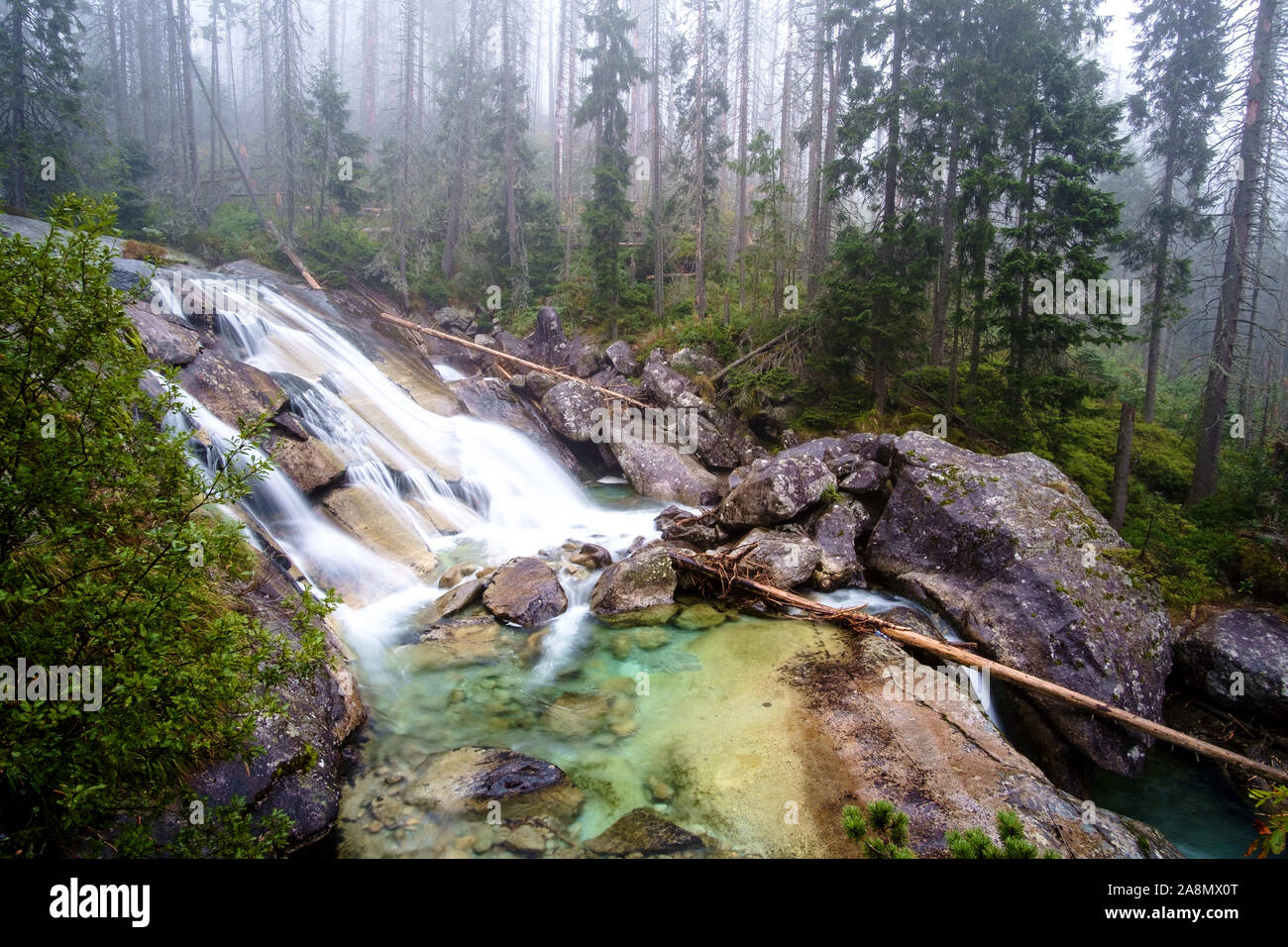 Kalte Stream in der Großen kalten Tal im Nationalpark Hohe Tatra, Slowakei Stockfoto