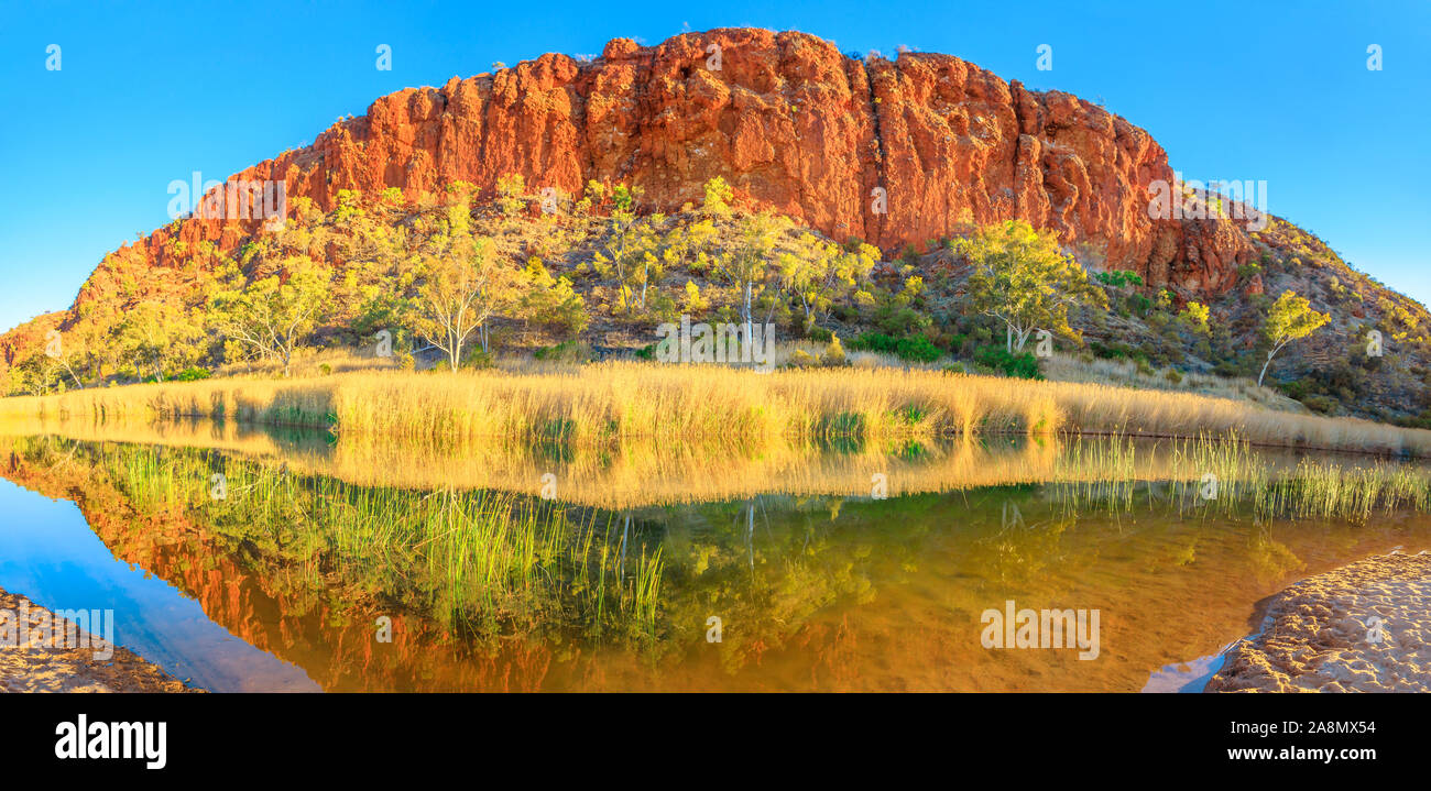 Zentrale australische Outback entlang Red Centre. Malerische Sandsteinmauer und Bush Vegetation der Glen Helen Schlucht am Wasserloch. Panorama von Stockfoto