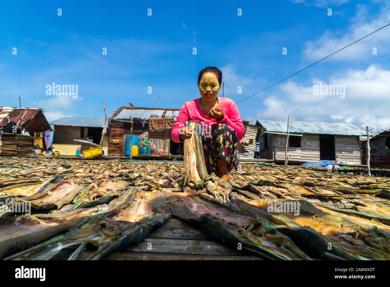 Sea Gypsy Frauen trocknen die Fische in Semporna Sabah Malaysia. Stockfoto