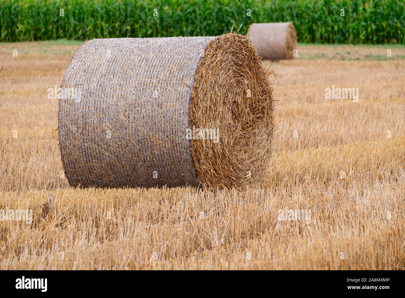 Heuballen auf dem Feld nach der Ernte in der Slowakei Stockfoto