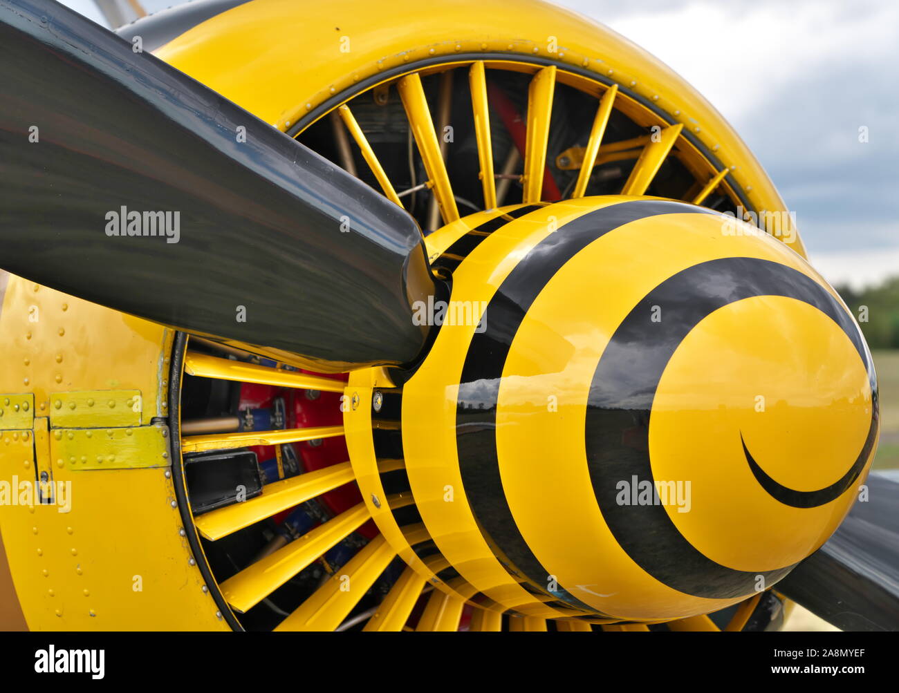 Gelbe Propeller Stockfoto