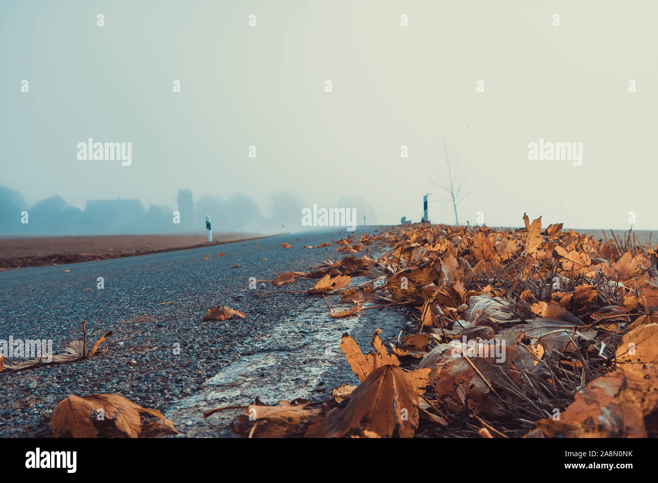 Straße mit Blätter im Herbst in sotuh Deutschland Allgäu mit Nebel Landleben Stockfoto