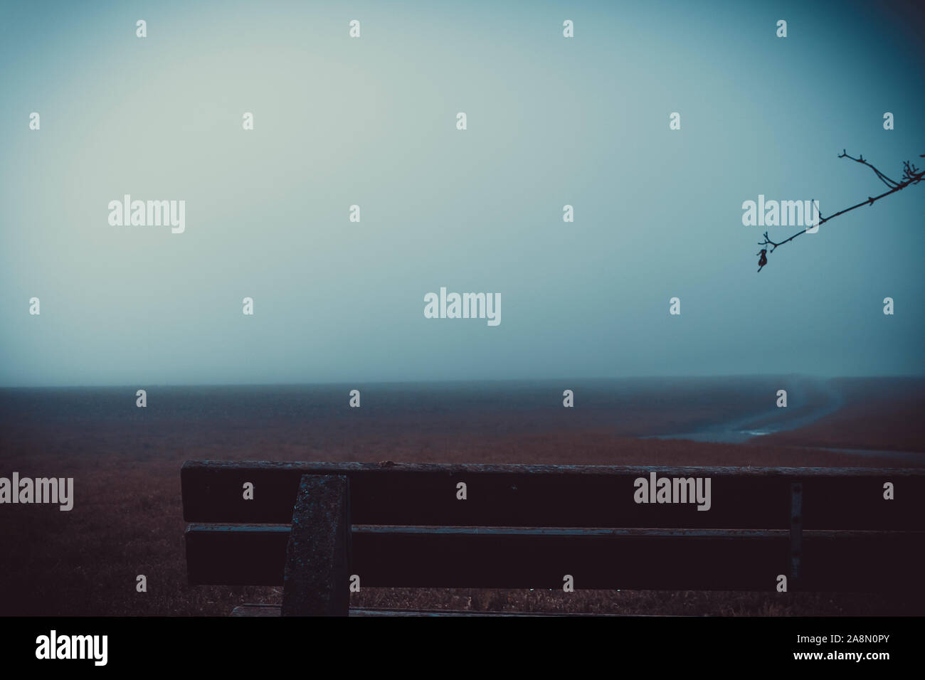 Nebel am Morgen zu Fuß in Deutschland Allgäu Wald Felder fallen Blätter im Herbst nach Süden Stockfoto