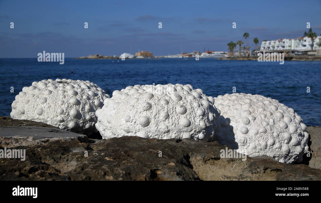 Große schöne weiße künstliche Muscheln am felsigen Strand in paphos, Zypern, Touristenattraktion, Horizont, Promenade mit Palmen im Hintergrund Stockfoto