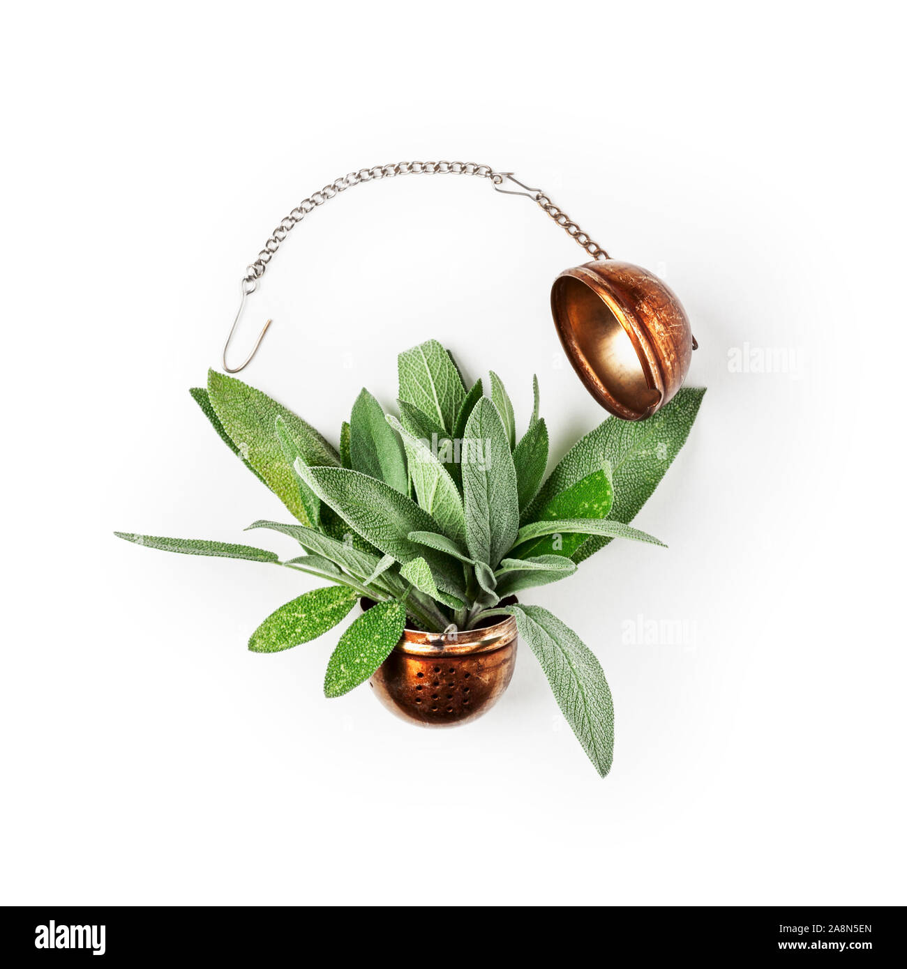 Salbei Kräutertee. Frische Salbeiblätter und Teesieb Anordnung auf weißem Hintergrund Freistellungspfad isoliert enthalten. Kräutermedizin Konzept. Ansicht von oben Stockfoto