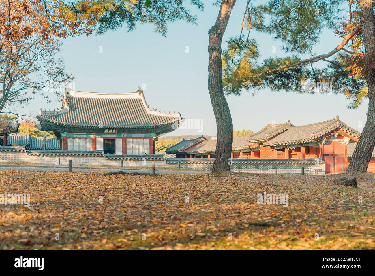 Gärten von Oriental Palace von Korea im Herbst an einem schönen Tag mit klaren Himmel. Stockfoto