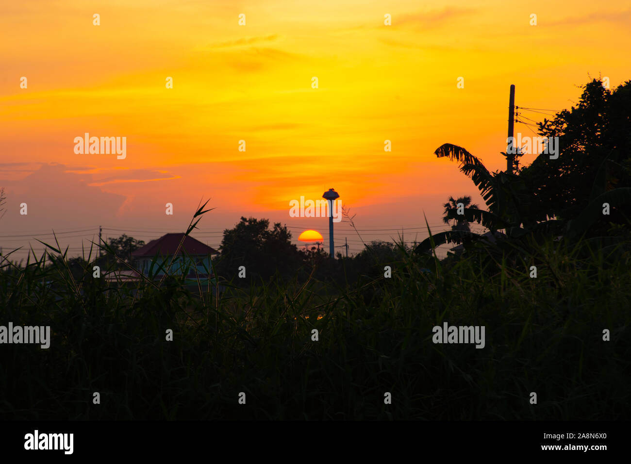 Schönes Licht des Sonnenuntergangs hinter den Bäumen. Stockfoto