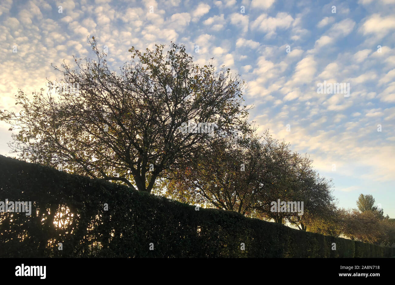 Landschaft Blick auf einen Park in London mit einem Hintergrund von schönen flauschigen weissen Wolken am blauen Himmel. Stockfoto