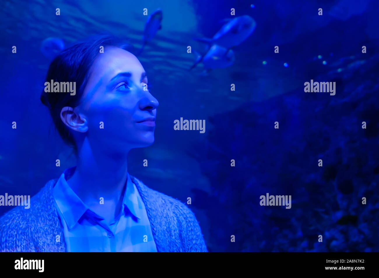 Frau auf der Suche nach Fisch in großen öffentlichen Aquarium Tank Oceanarium Stockfoto