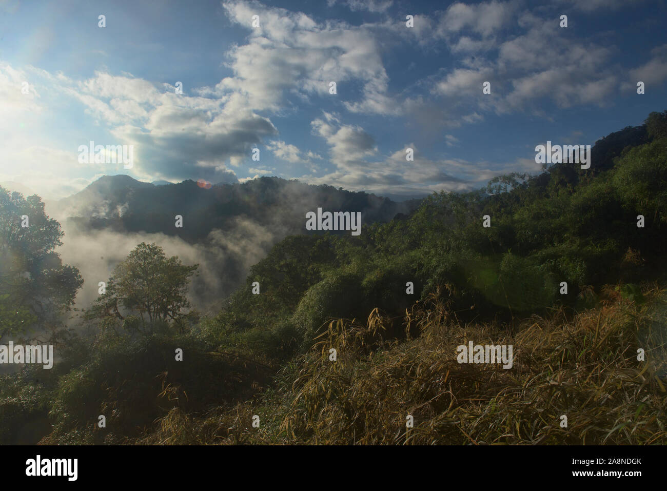 Blick auf die unberührten Bellavista Cloud Forest Reserve, Mindo, Ecuador Stockfoto