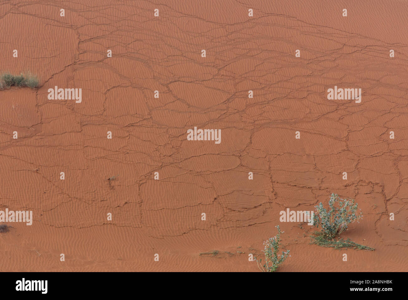 Sanddünen knacken Erzeugen von Mustern und plätschert und Texturen auf dem Hügel nach einem Sturm in den Vereinigten Arabischen Emiraten. Stockfoto