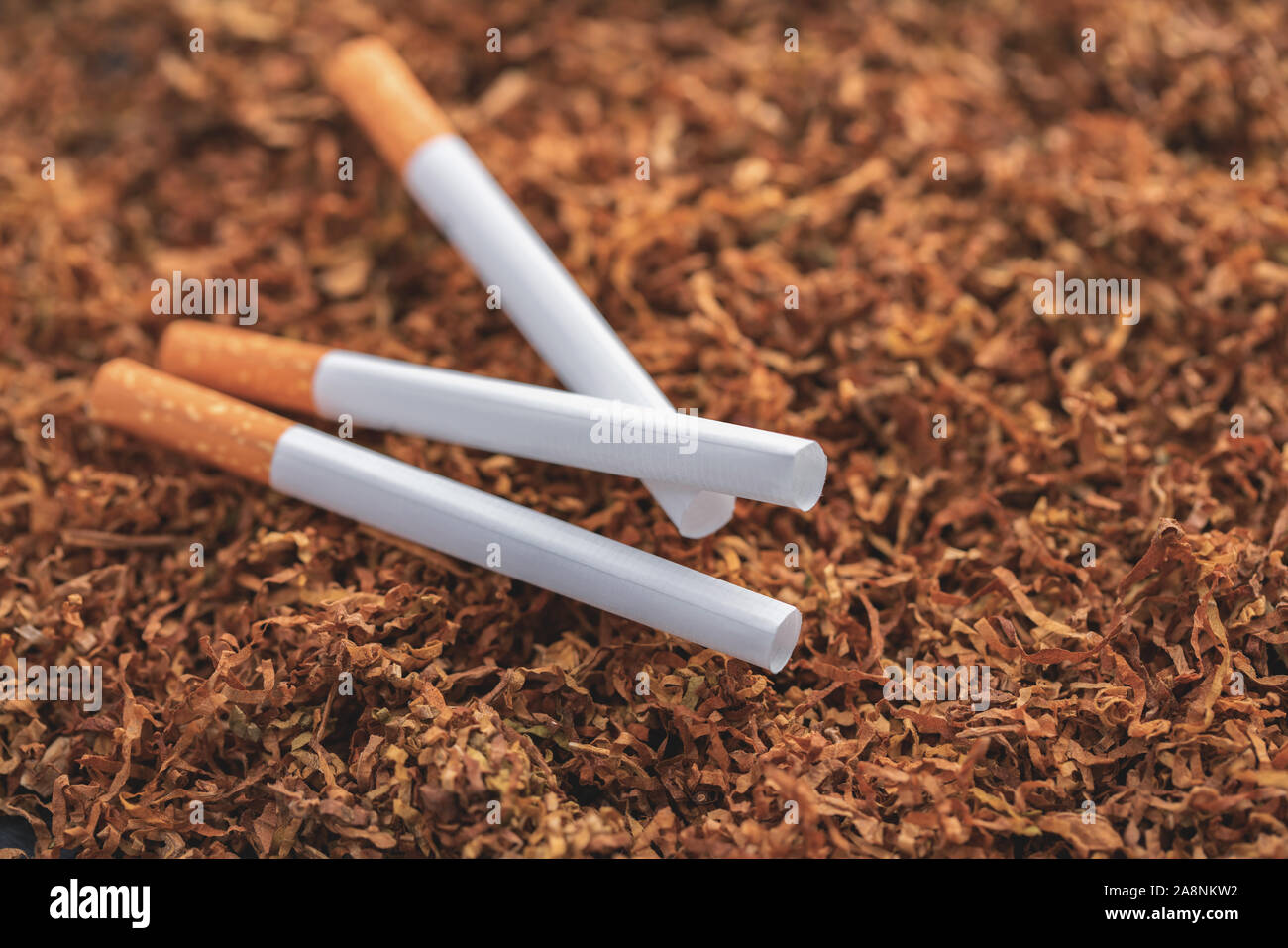 Zigaretten close-up auf einem Hintergrund von trockenen Tabak Stockfoto