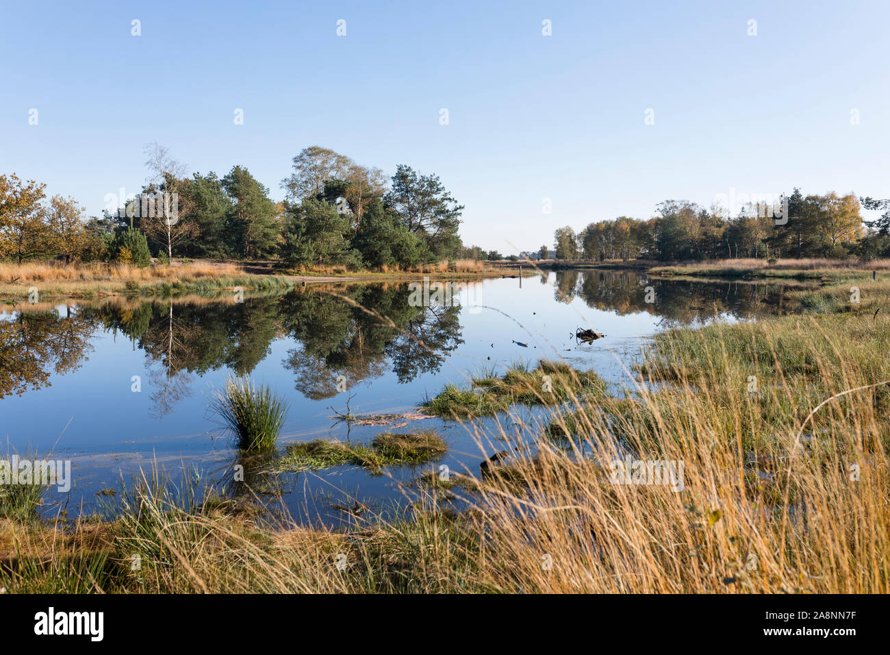 Fen an Moor- und Heidelandschaft st Naturschutzgebiet DES trabrechtse Heide' in den Niederlanden Stockfoto