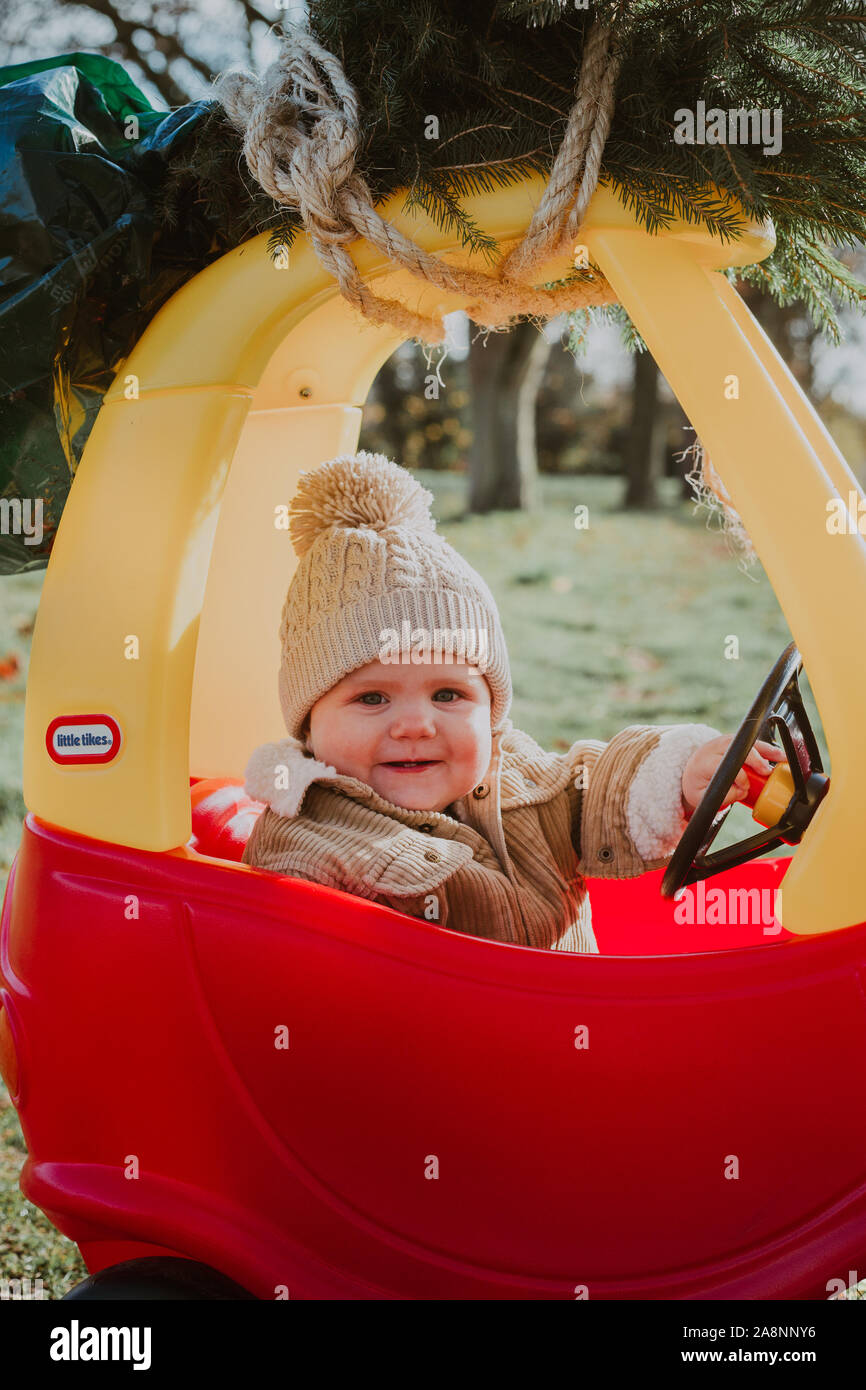 Kleiner Junge bringt Weihnachtsbaum home auf ein Spielzeugauto Stockfoto
