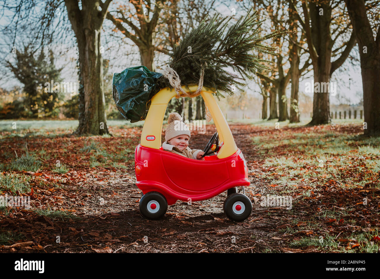 Kleiner Junge bringt Weihnachtsbaum home auf ein Spielzeugauto Stockfoto