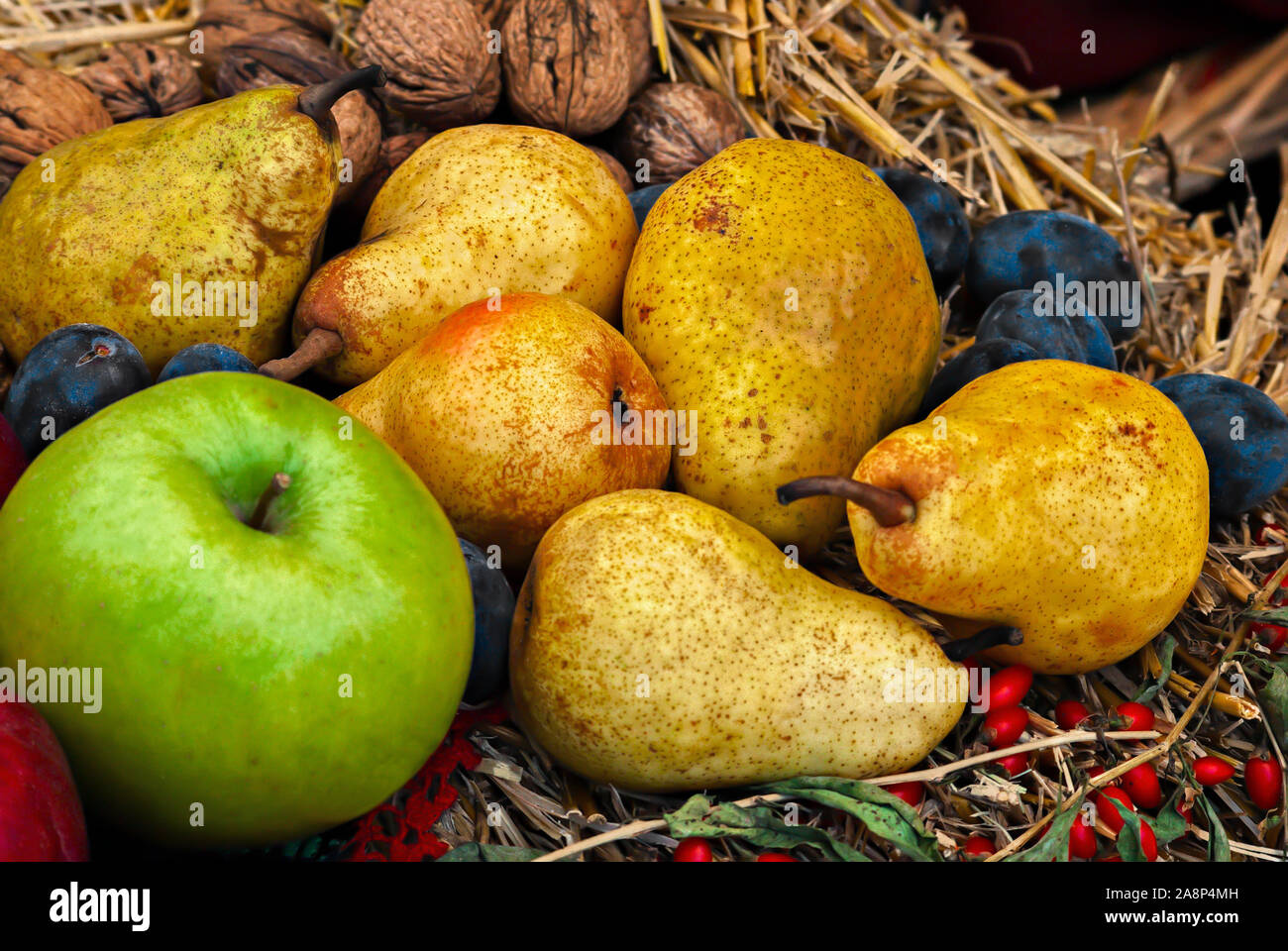 Birnen, Äpfel und blaue Pflaumen. Herbst Früchte; Stockfoto