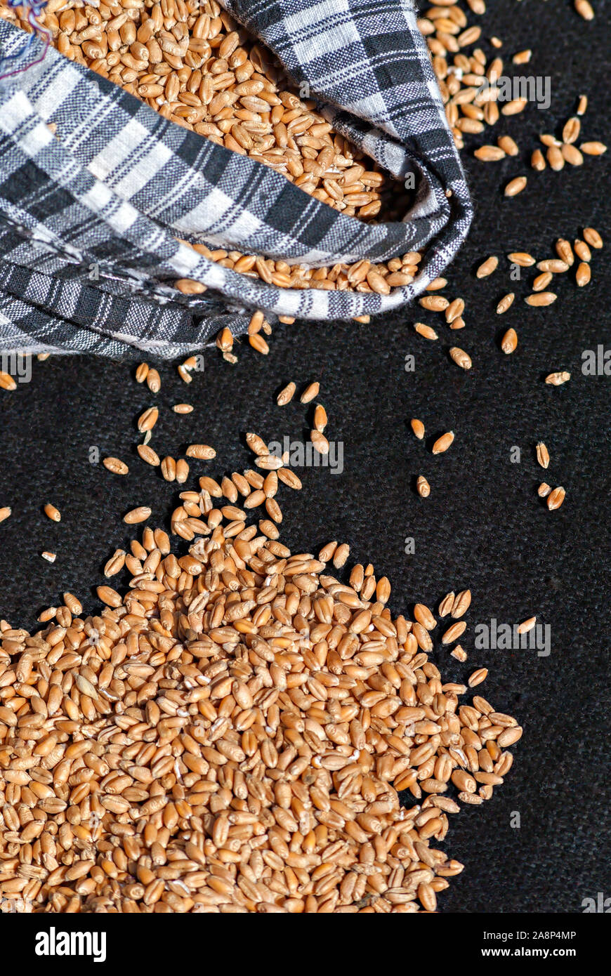 Weizen Körner in einen Sack; Stockfoto