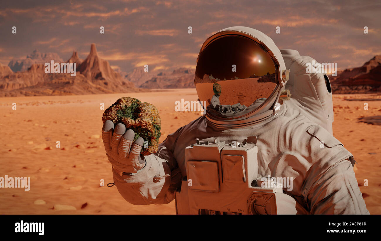 Das Leben auf dem Planeten Mars, Astronaut entdeckt Bakterien leben auf der Oberfläche von einem Felsen Stockfoto