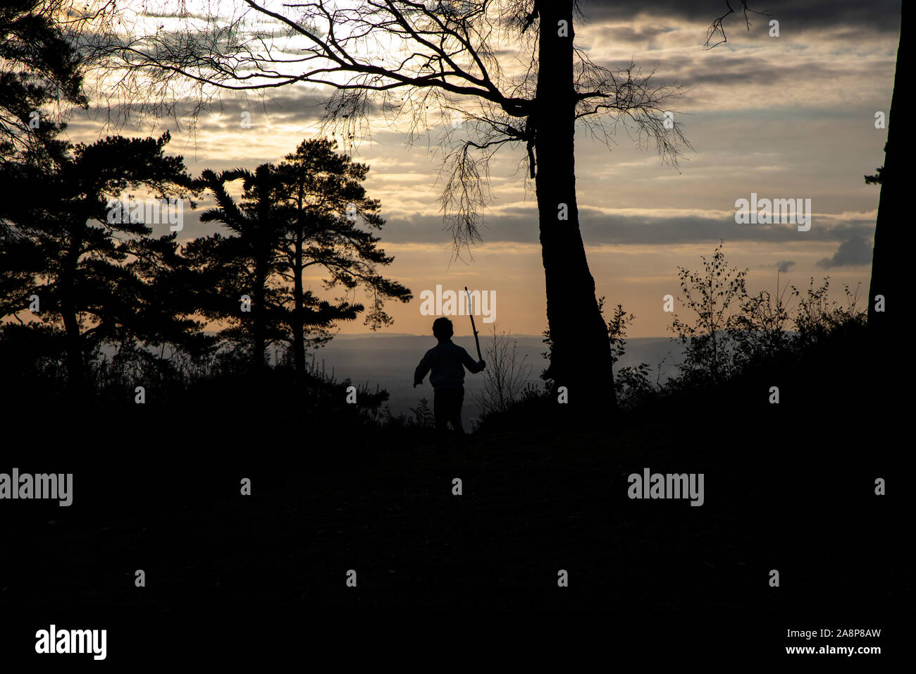 Surrey, Großbritannien. 10 Nov, 2019. Junge mit Blick auf den Herbst Himmel, als die Sonne über Leigh Hill Woodland Hills in Surrey, England, Großbritannien, 10. November 2019 Credit Set kommt: Jeff Gilbert/Alamy leben Nachrichten Stockfoto