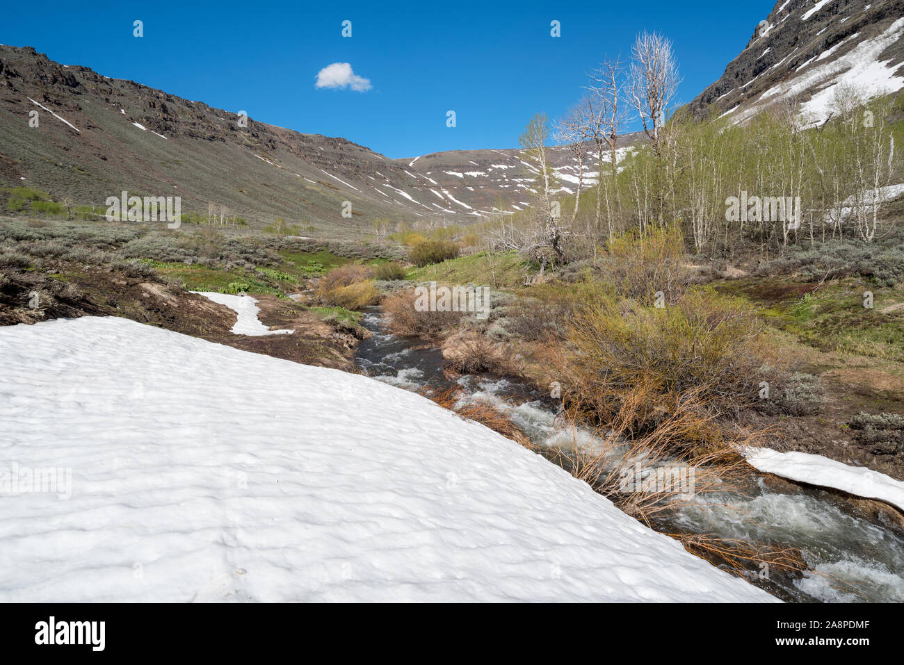 Wenig Blitzen Schlucht im späten Frühjahr, Steens Mountain, Oregon., Steens Mountain, Oregon. Stockfoto