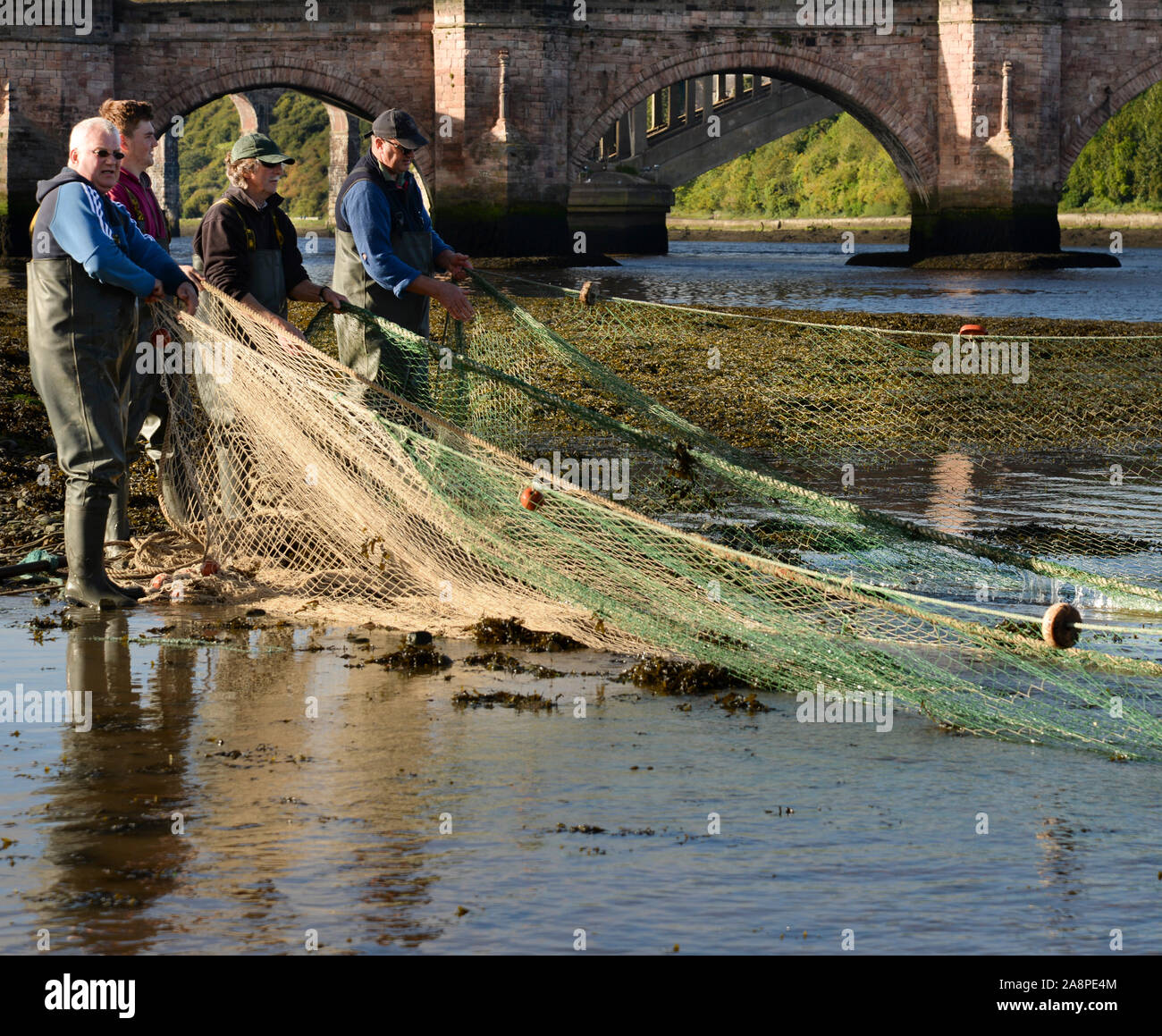 Gardo net Fischerei an der Mündung des Flusses Tweed, unter der Alten Brücke, Berwick Upon Tweed, Englands nördlichste Stadt. Stockfoto