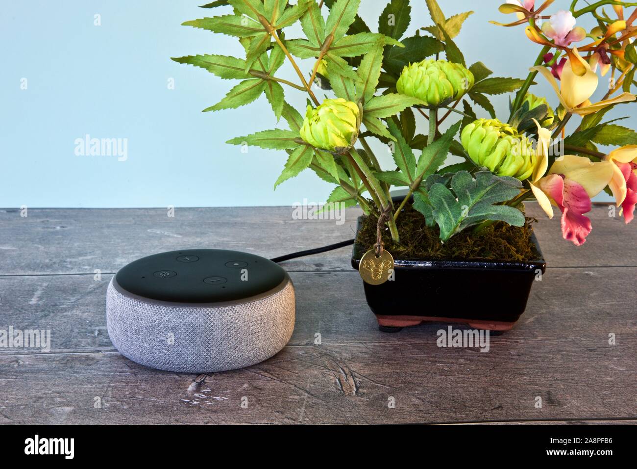 Amazon Echo Dot (3. Generation) - Smart-Lautsprecher mit Alexa Stockfoto