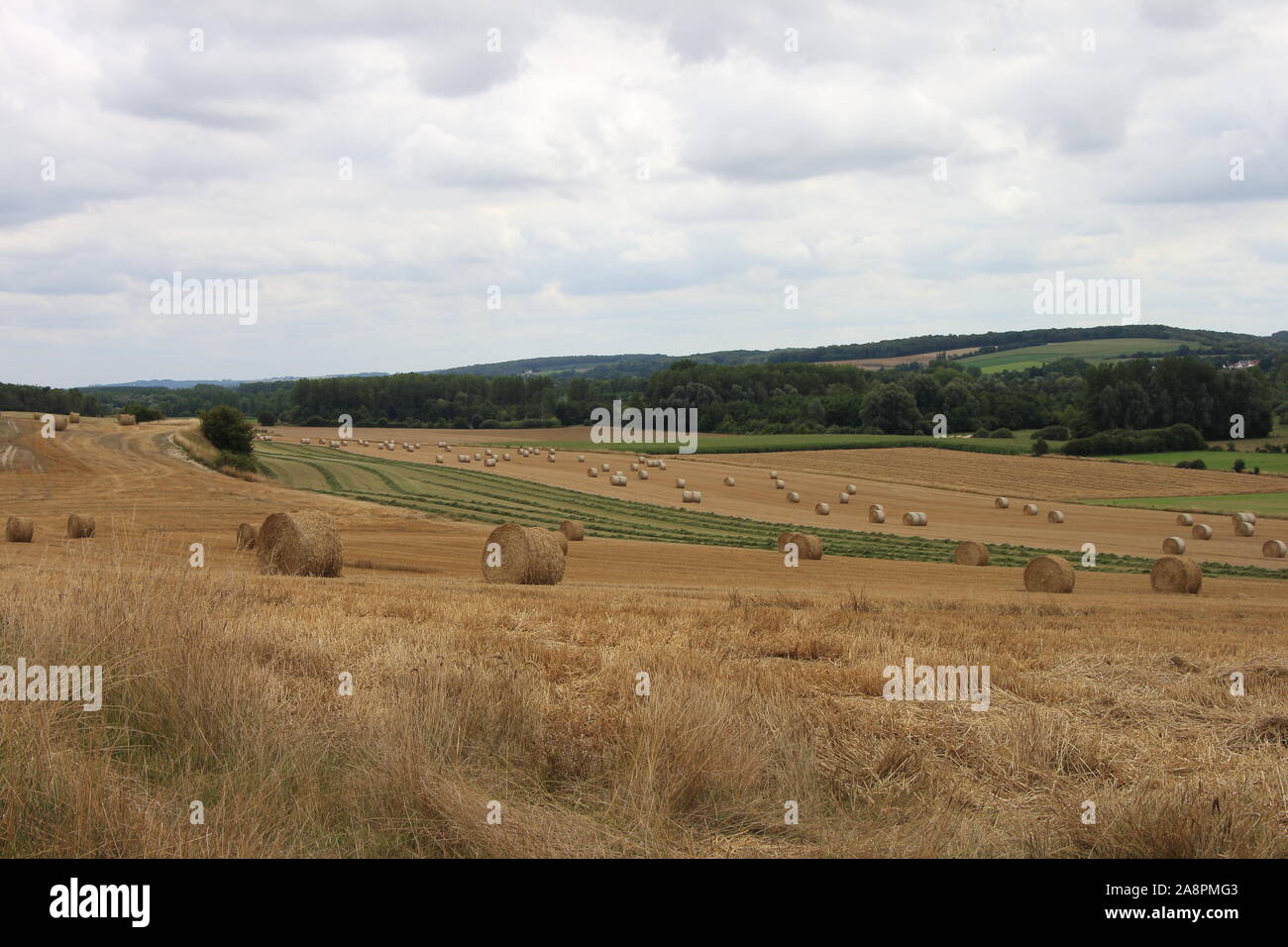 Strohballen auf einem Feld im Sommer. Hauts-de-France. Stockfoto