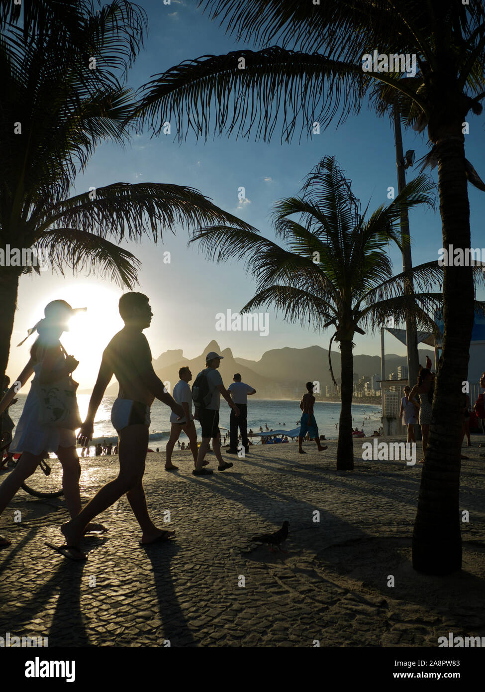 Rio DE JANEIRO - 2. FEBRUAR 2012: Strandgänger spazieren zwischen Palmen auf dem Boardwalk in Arpoador, einem beliebten Ort, an dem Sie den Sonnenuntergang beobachten können. Stockfoto
