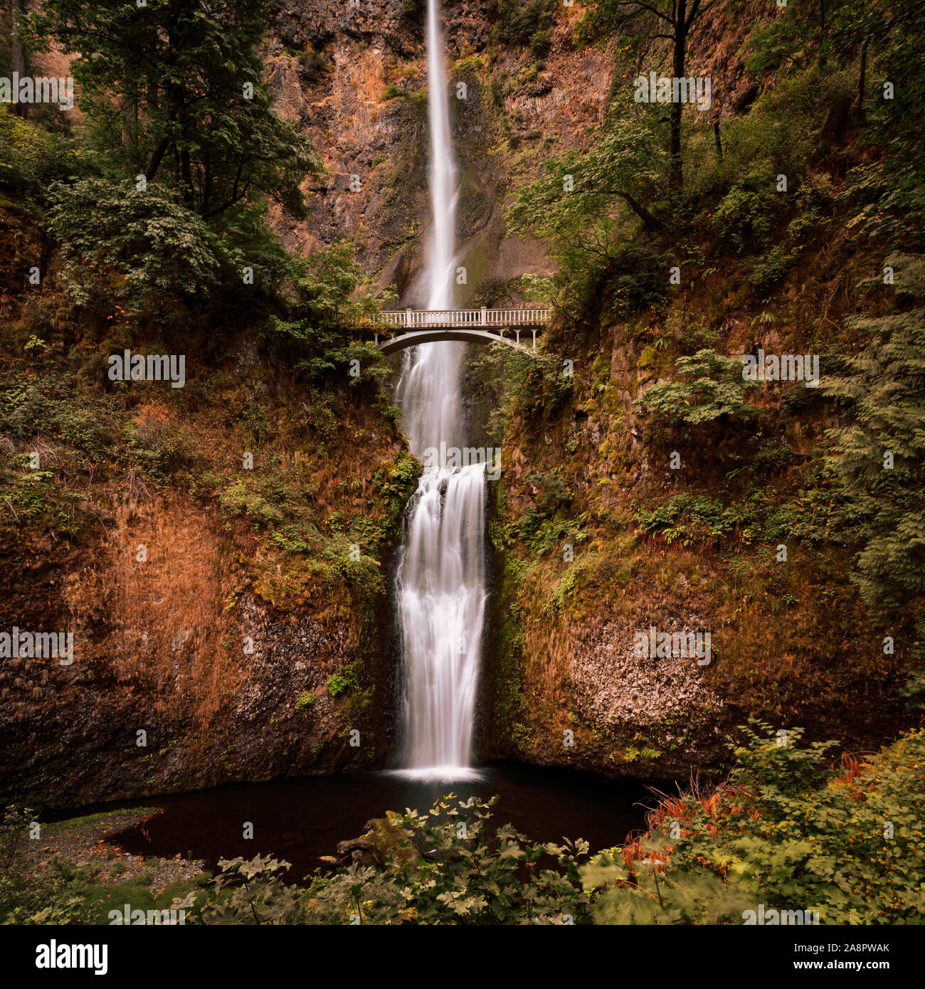 Multnomah Falls in der Columbia River Gorge, Oregon, USA. Es ist der höchste Wasserfall im Staat Oregon bei 189 Meter in der Höhe. Stockfoto