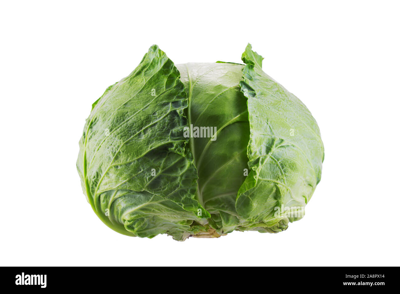 Grünkohl Gemüse auf weißem Hintergrund. Stockfoto
