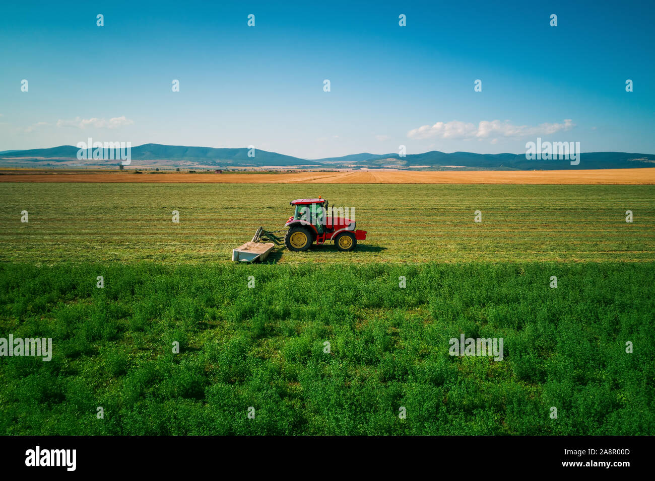 Traktor mähen grünes Feld, Luftbild. Stockfoto