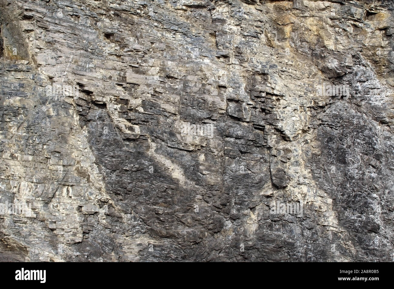 Sedimentäre Karbonatfelsen Schichten im Detail gesehen Stockfoto