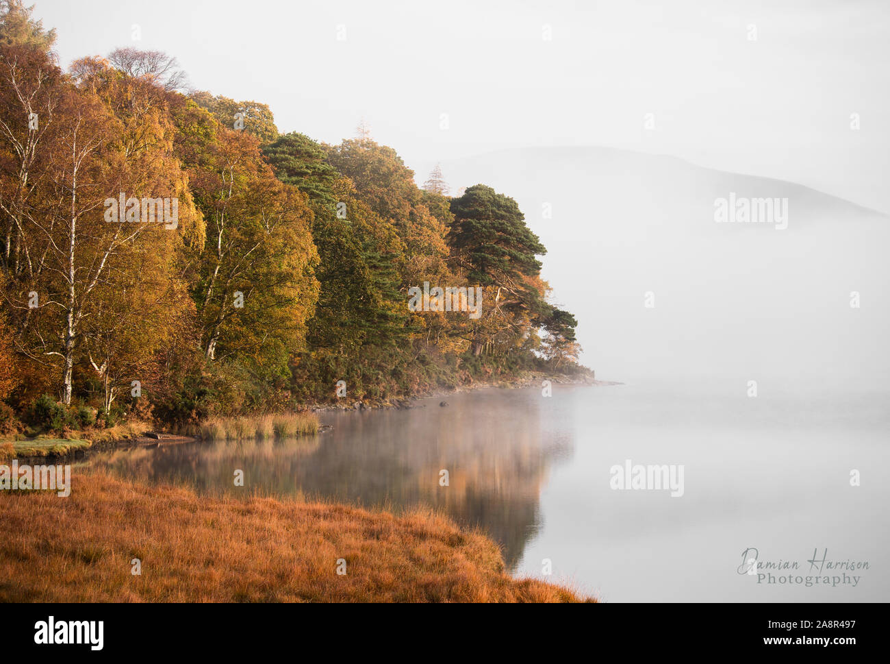 Herbstliche Farben, Reflexionen und Nebel auf Derwent Water. Stockfoto