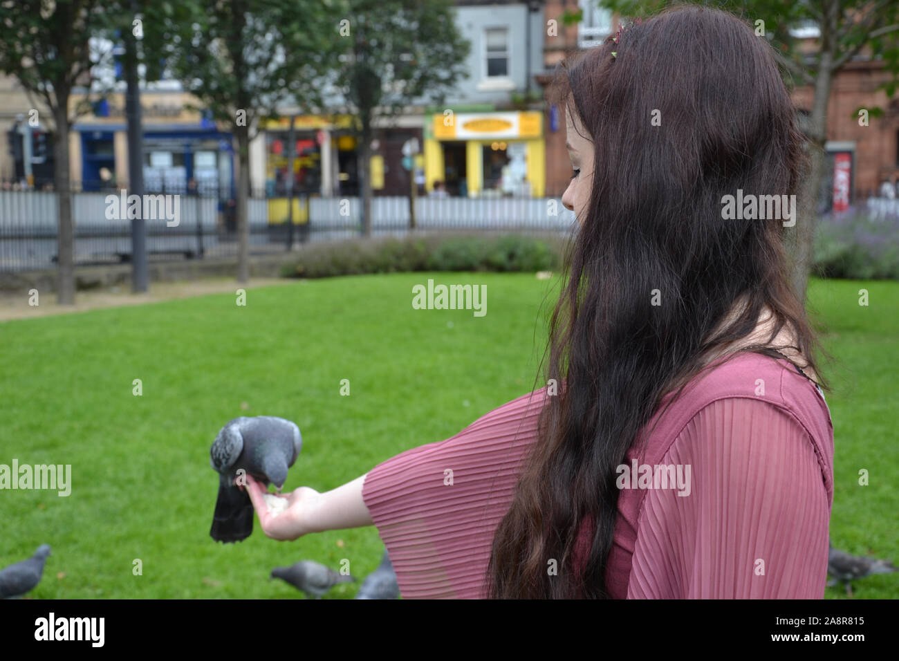 Dame mit langen brünetten Haar speist eine Wilde Wilde Taube auf ihre Hand, in einem städtischen Park Stockfoto