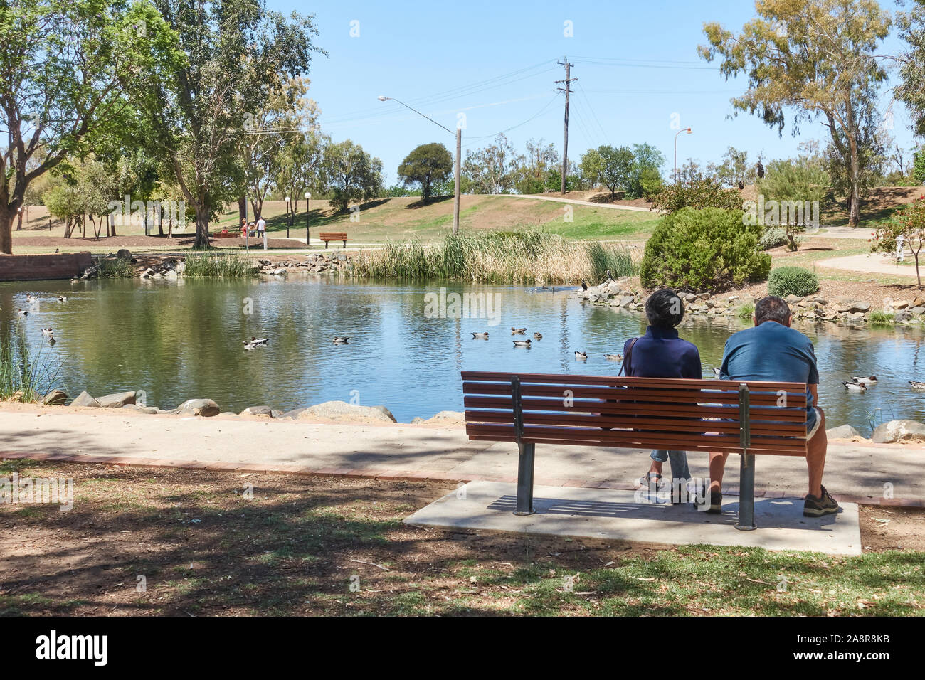 Ein Paar auf einer Parkbank mit Blick auf den Ententeich. Tamworth Australien. Stockfoto