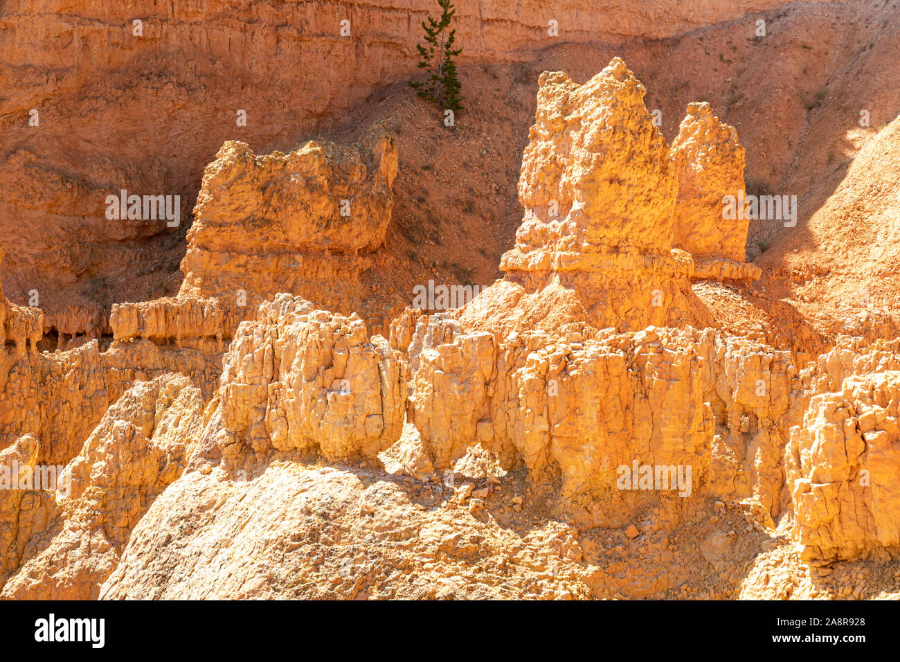 Hoodoos im Bryce Canyon, Utah Stockfoto