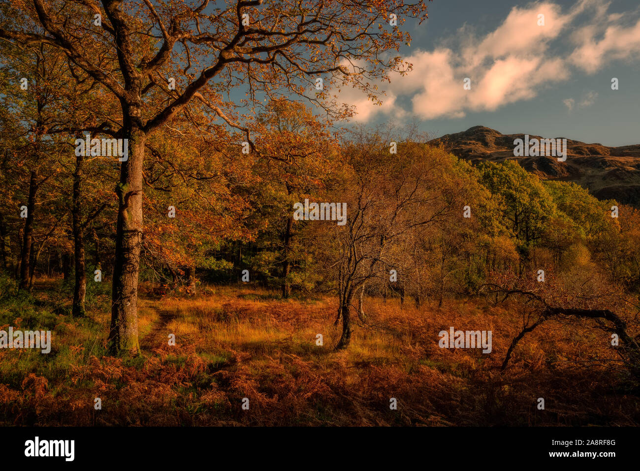 Glentrool im Herbst Stockfoto